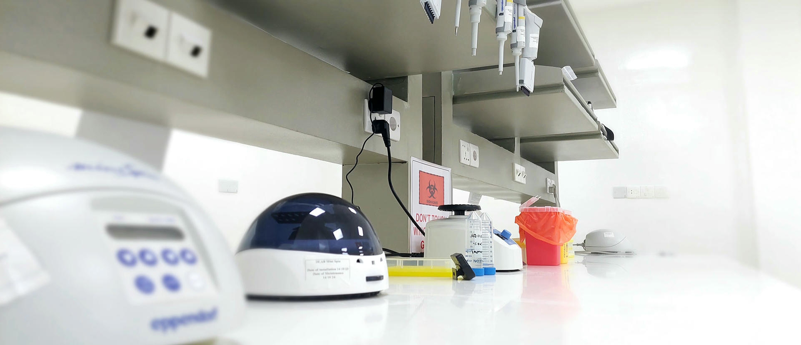 TMSS Biomolecular Lab
